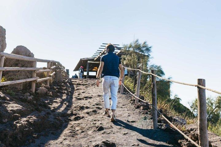Herculaneum, Vesuvius and Pompeii Full Day Tour from Naples