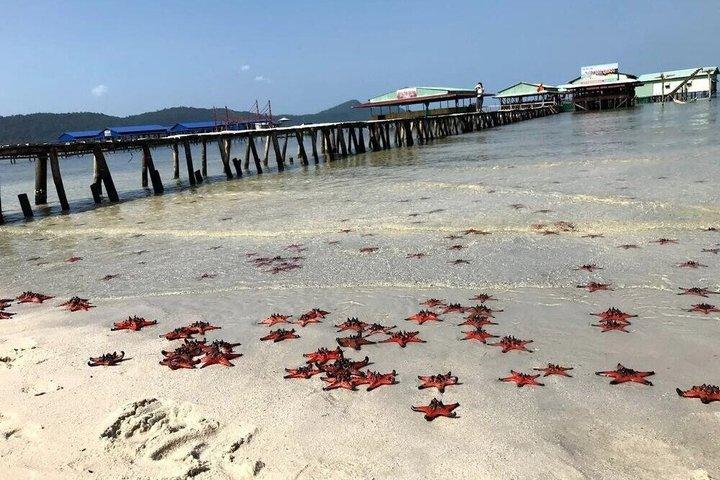 Phu Quoc Rach Vem Fishing Village Day Tour