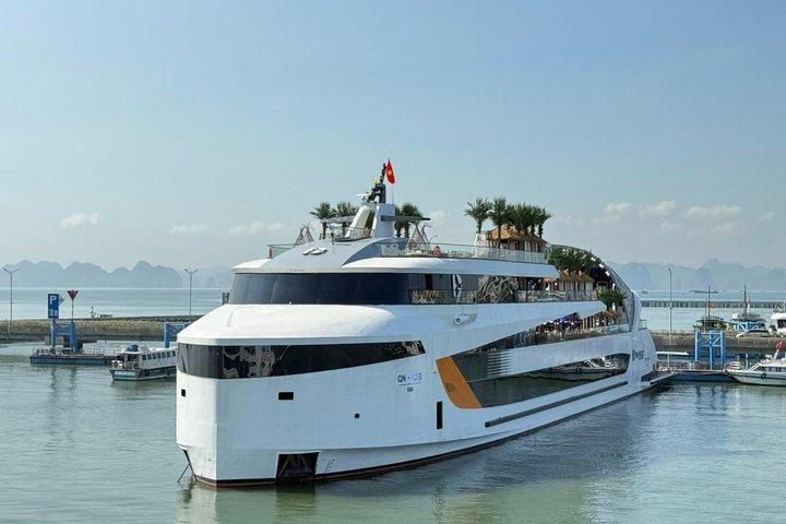 Dolphin Luxury Cruise Halong Bay 5 Star Day Tour from Hanoi