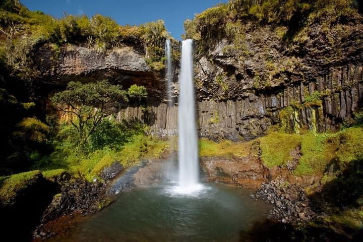 Aberdares National Park Multiday Tour