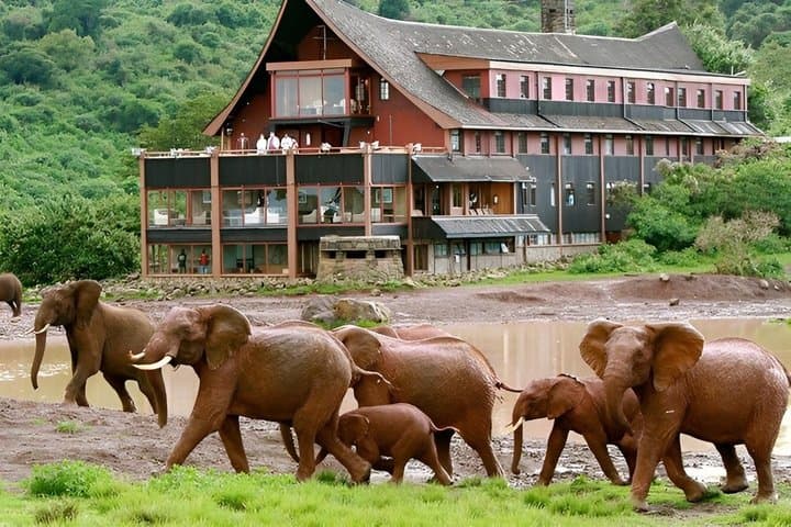 Aberdares National Park Multiday Tour