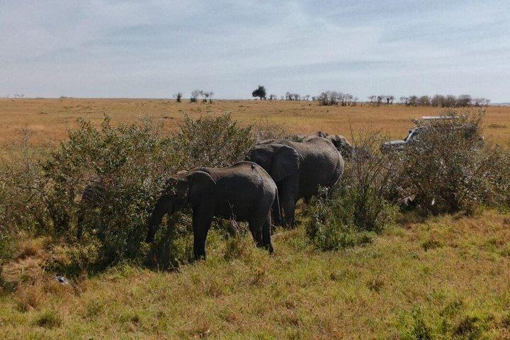 Oldonyo Sabuk Full Day Private Hiking Tour from Nairobi