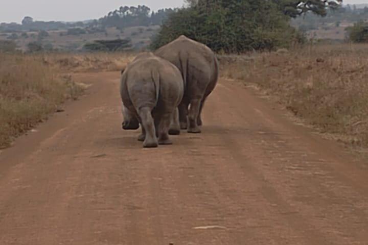 Oldonyo Sabuk Full Day Private Hiking Tour from Nairobi