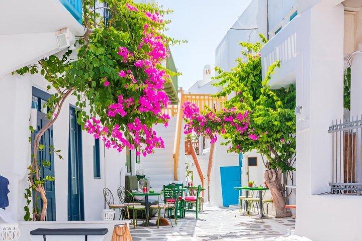 Mykonos Tour for Cruise Ship Guests