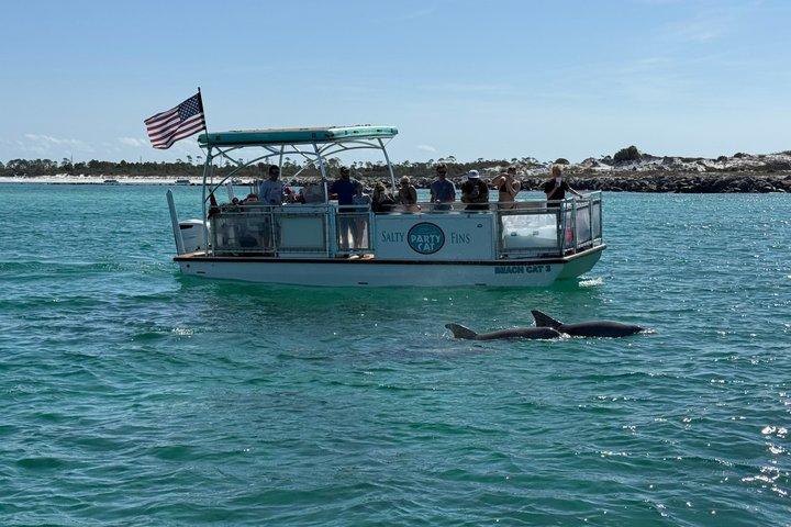 Shell Island Snorkel And dolphin sightseeing