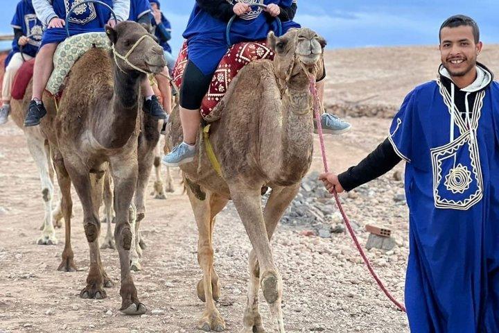 Camel Adventure in the Palmerie Desert Marrakesh