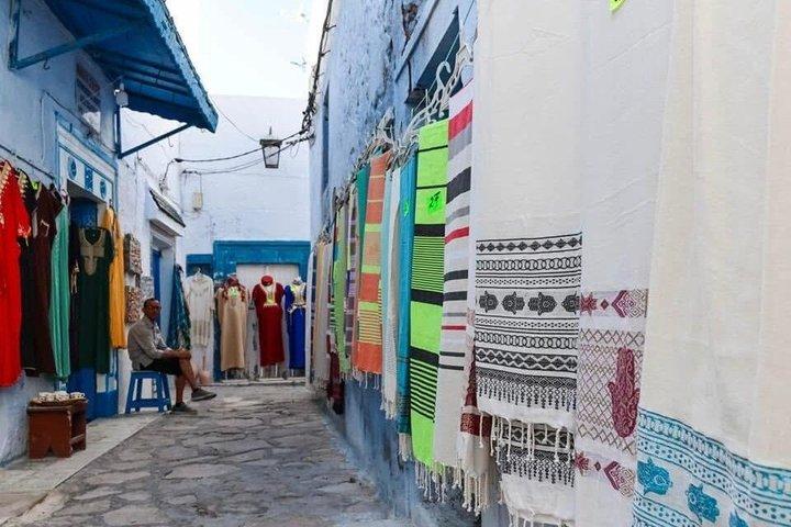 Full Day Excursion Tunis Carthage and Sidi Bou Said From Tunis