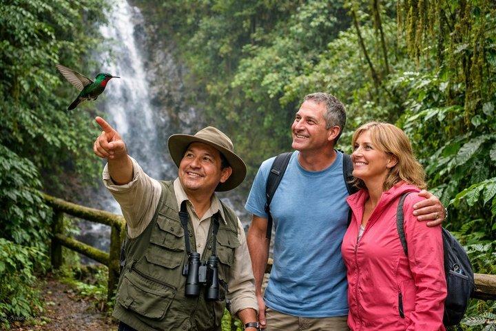 Mindo Cloud Forest: Hummingbirds, Birds & Waterfalls Tour