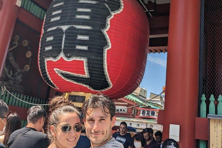 Shore Excursions Tokyo 6h Custom Tour with a Private Vehicle