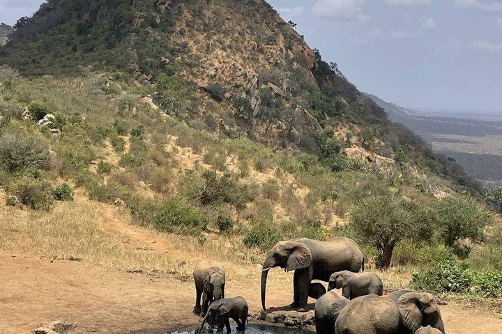 3 days Man Eaters Camp Madaraka Express Package