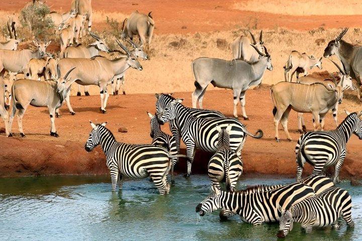 3 days Man Eaters Camp Madaraka Express Package