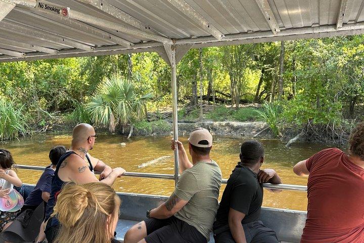 Swamp and Plantation Tour: Whitney, Oak Alley, or Laura