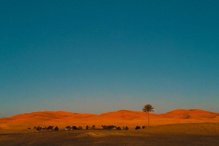 3 days Desert Adventure from Marrakech to Merzouga
