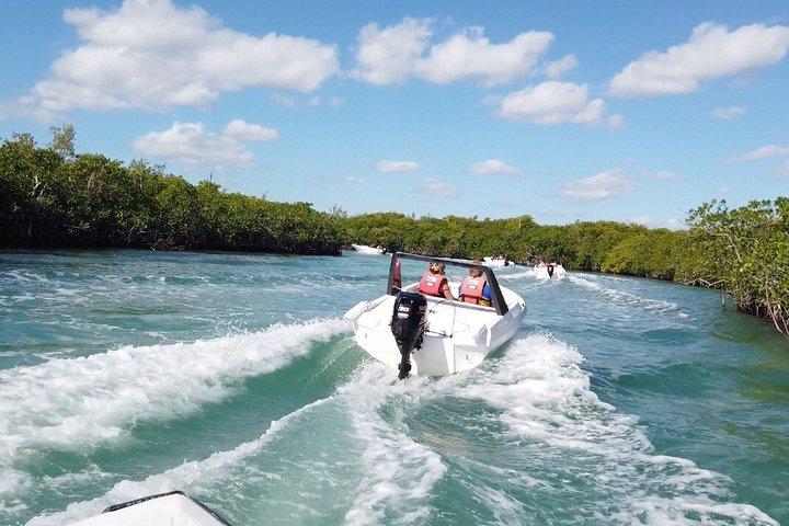 Cancun speedboat and snorkel tour: shared speedboat