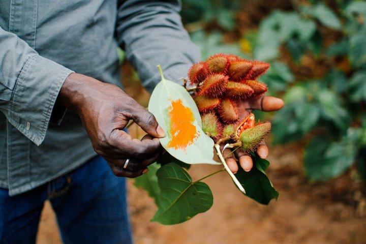 Zanzibar Spice Farm and Swahili Lunch and Stone Town Tour