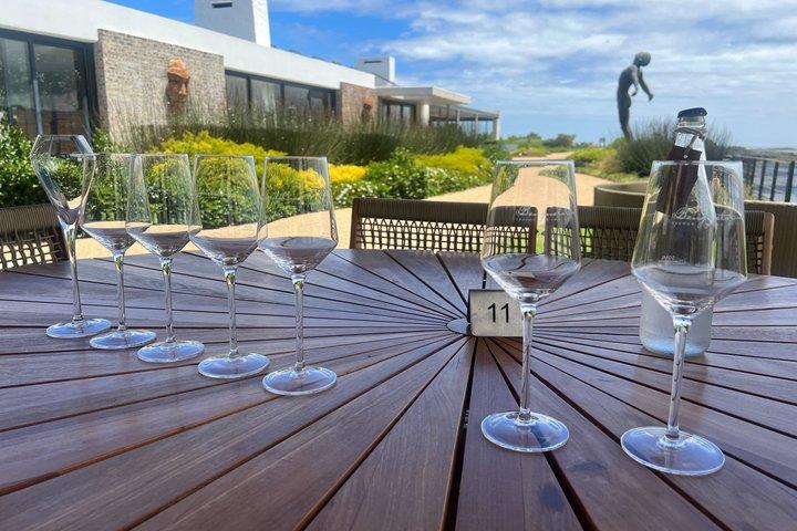 Cape Agulhas: Where Indian Meets Atlantic — Private Full-Day Tour
