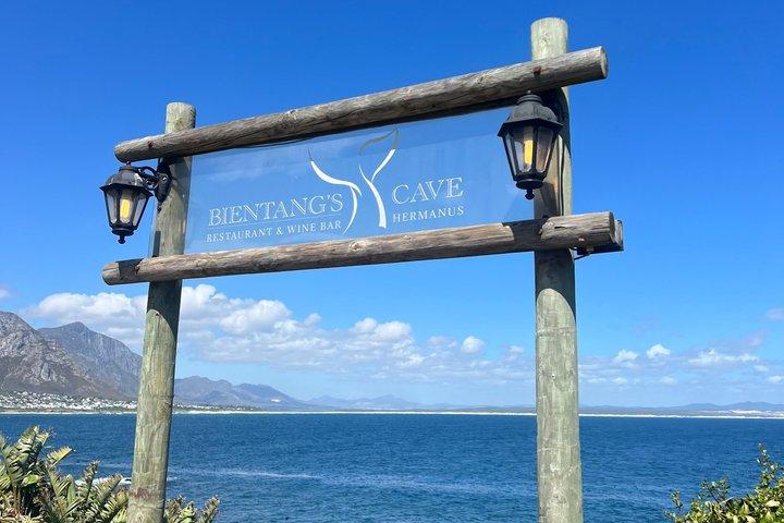 Cape Agulhas: Where Indian Meets Atlantic — Private Full-Day Tour