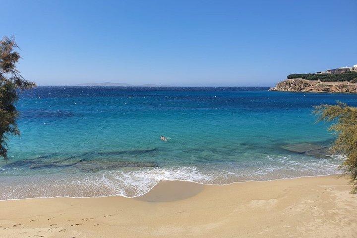 Mykonos South Beaches Private Tour
