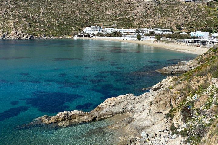 Mykonos South Beaches Private Tour