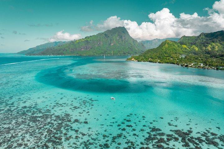 Moorea Lagoon Tour Snorkeling with Sharks and Stingrays