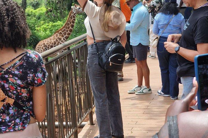 Nairobi City Tour and Giraffe Center Tour