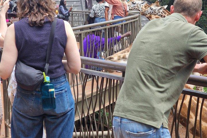 Nairobi City Tour and Giraffe Center Tour