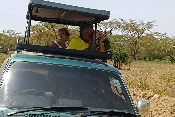 Nairobi Park Safari, Elephant Orphanage and Giraffe Centre Tour.