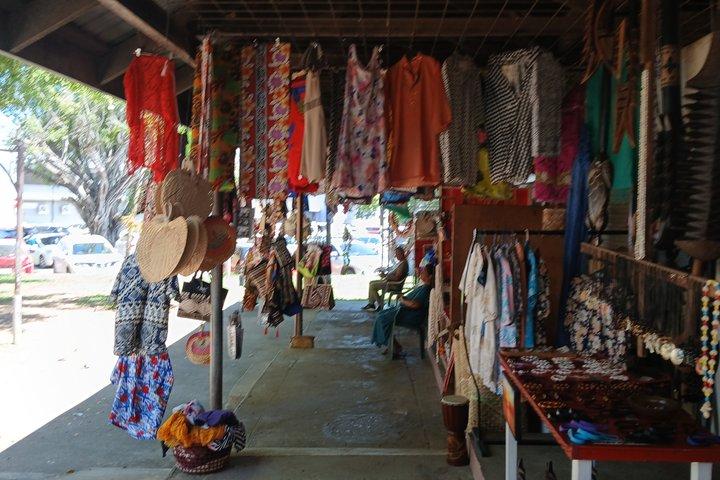 Nadi Tour With Tifajek Mud Pool and Hotspring