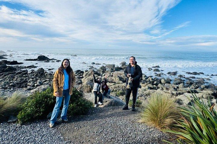 Kaikoura Private Whale Watching Day Trip from Christchurch