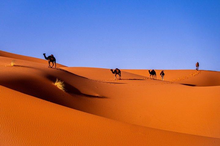 4 day Marrakech to Sahara Desert Tour & nomad visit experience