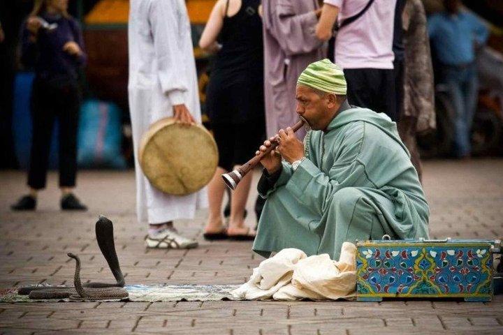 Marrakech Day Trip From Agadir with Tour Guide