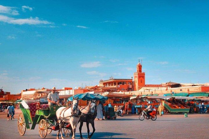 Marrakech Day Trip From Agadir with Tour Guide