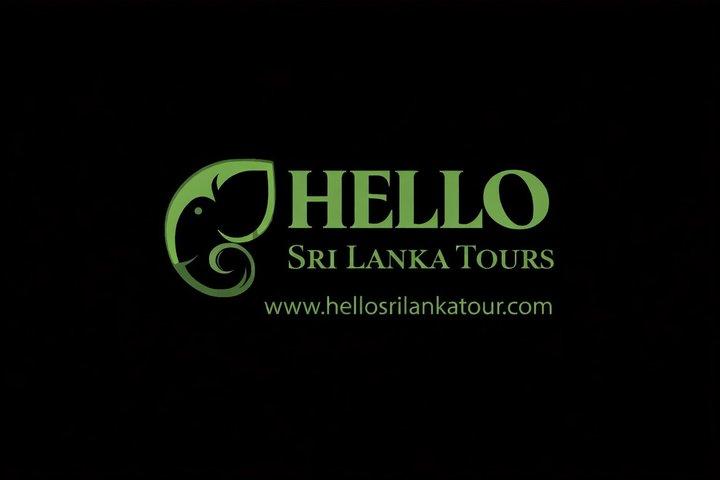 Reliable Airport Transfers Hello Sri Lanka Tours