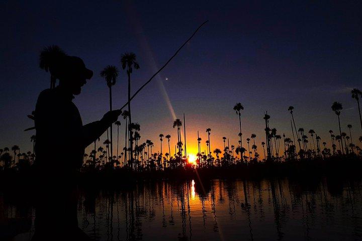 Sporting Piranha Fishing and Bird Watching in Lake Yacumama