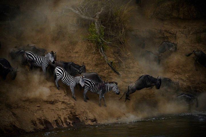 Spectacular Serengeti Migration Safari