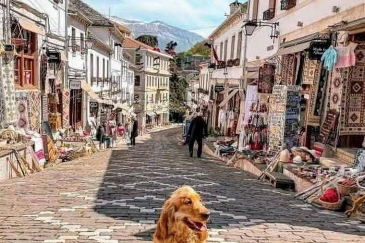 Saranda:Lekursi Castle, Blue Eye, Gjirokaster & More Tour