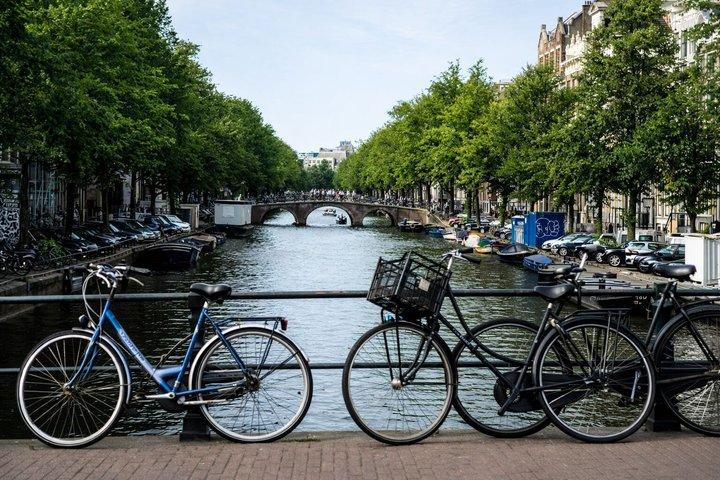 Amsterdam Walking Tour: Explore Top Sights & Hidden Gems