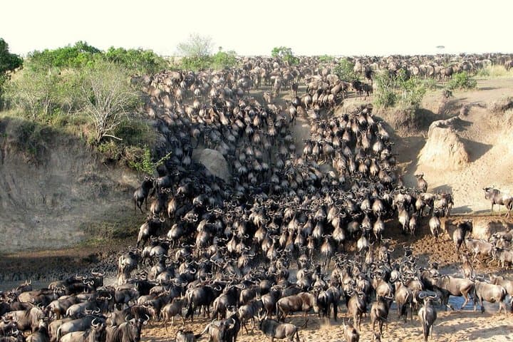 9 Days Wildlife and Scenic Safari