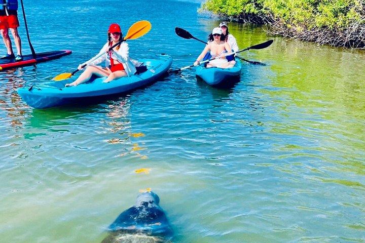 Dolphin and Manatee Adventure Tour of Merritt Island