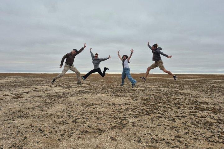 Skeleton Coast Cape Cross Seal colony Tour