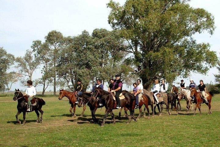Gaucho Tour in Estancia Don Silvano from Buenos Aires
