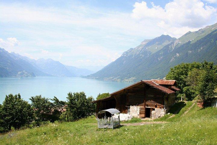 Private Day Trip from Zurich to the Swiss Alps Lakes and Bern