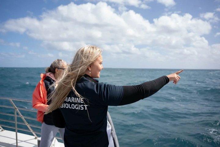2 Hour Whale-Watching Cruise from Hillarys Boat Harbour