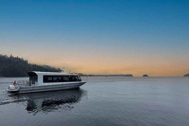 Juneau Whale Watch Adventure