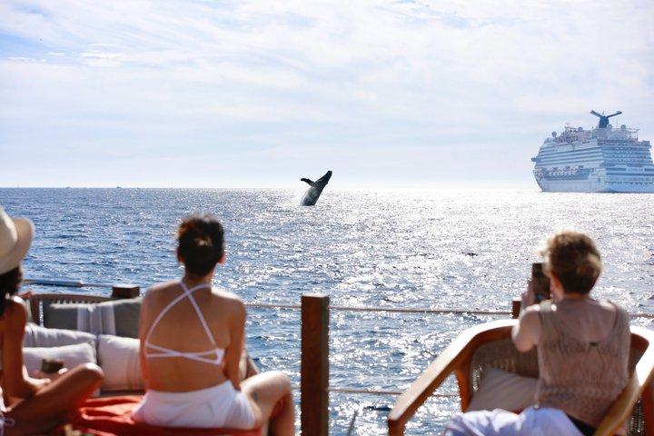 Elevated Family Ocean Escape 20Guests