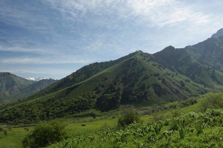 Discover Amirsoy,Chimgan &Charvak "One Day Private Mountain Trip"