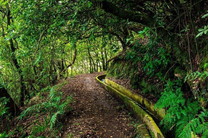 Madeira Private Levada Tour - Laurisilva Forest & Balcões Views