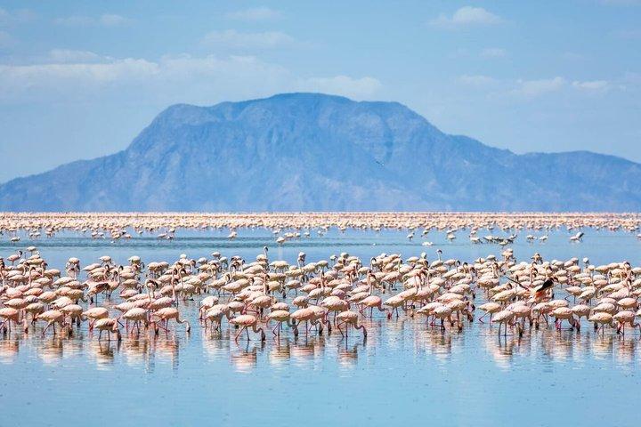 Lake Magadi and Olorgesailie Day Tour