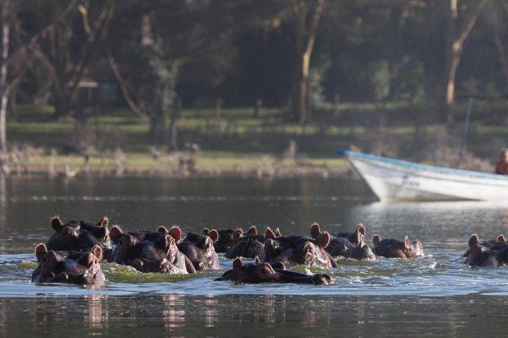 Lake Naivasha and Crescent Island Day Safari Walk among Wildlife
