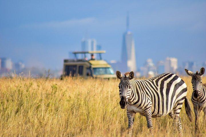 Nairobi National Park Guided tour